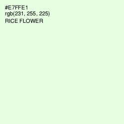 #E7FFE1 - Rice Flower Color Image